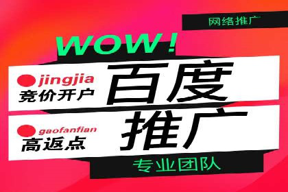百度SEO推广公司成功案例集锦：多行业适用策略分享